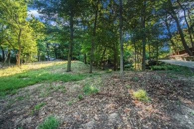 Lake Michigan - Allegan County Lot For Sale in Saugatuck Michigan