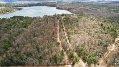 Discover this inviting 4-bedroom, 1-bath home on 3.26 wooded - photo 40