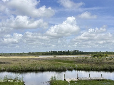 NONE OTHER LIKE THIS: This property is nestled in a quiet and - photo 2