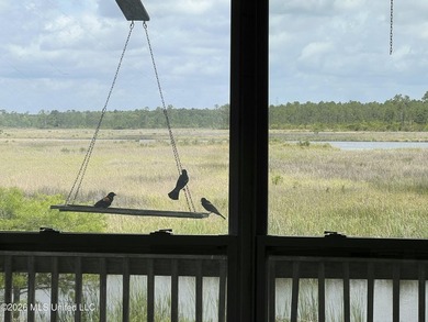 NONE OTHER LIKE THIS: This property is nestled in a quiet and - photo 3