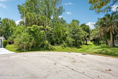 Bird of Paradise Lake Lot For Sale in Palm Coast Florida