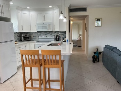 Welcome to this charming 2-bedroom, 2-bathroom villa in Delray - photo 2
