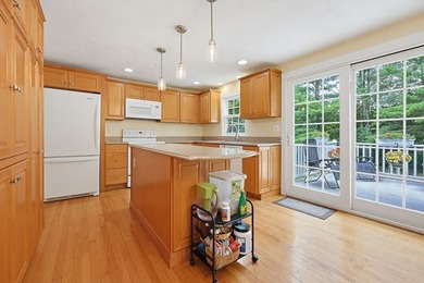 Sun-drenched 4-bed, 2.5 bath, 3-story Raised Cape in a private - photo 8