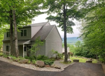 Contemporary home with lake rights  - Lake Home For Sale in Adirondack, New York