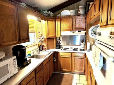Spacious WATERFRONT home on two DEEP WATER lots! Upon entering - photo 11