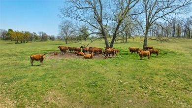 Welcome to a rare gem in Northwest Arkansas-158 beautiful acres - photo 14