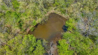 Welcome to a rare gem in Northwest Arkansas-158 beautiful acres - photo 16