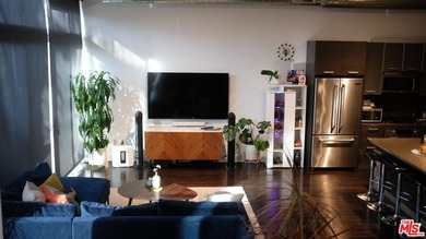 Welcome to Steel Lofts, one of the Marina Arts District's most - photo 5