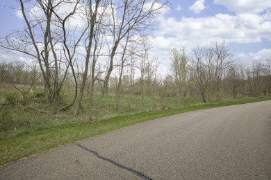 LONG LAKE LOT (CASSOPOLIS) - Lake Lot For Sale in Cassopolis, Michigan