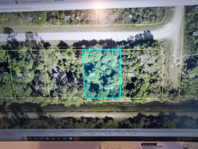 Lehigh Acres Area Lot For Sale in Lehigh Acres Florida