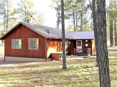Lake Home For Sale in Alpine, Arizona