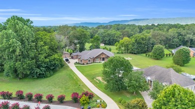 Stunning, Custom built, sprawling one-Level FULL brick & stone - photo 43