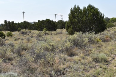 Concho Lake Lot For Sale in Concho Arizona