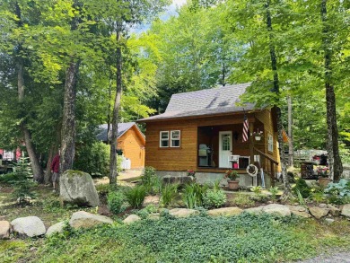 Lake Home For Sale in Morgan, Vermont