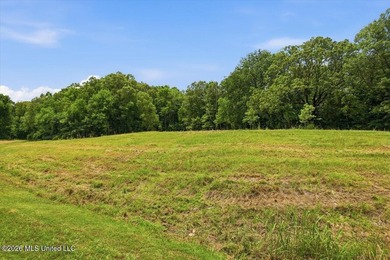 This is your chance to own a beautiful lot in Chestnut Hill in - photo 1