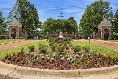 This is your chance to own a beautiful lot in Chestnut Hill in - photo 2