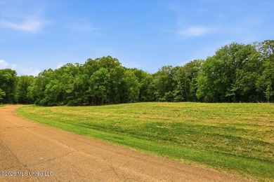 This is your chance to own a beautiful lot in Chestnut Hill in - photo 4