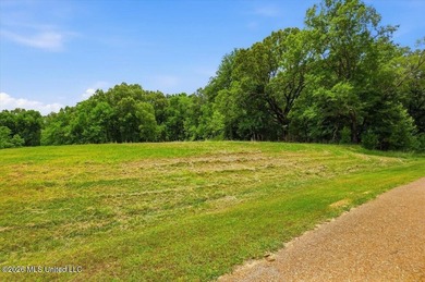 This is your chance to own a beautiful lot in Chestnut Hill in - photo 5