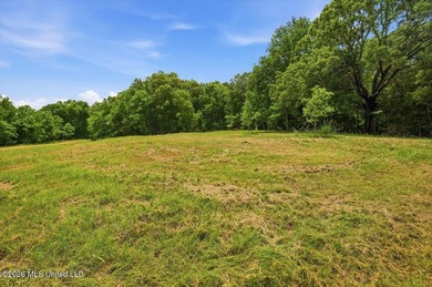 This is your chance to own a beautiful lot in Chestnut Hill in - photo 6