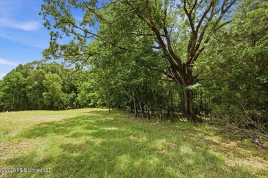 This is your chance to own a beautiful lot in Chestnut Hill in - photo 7
