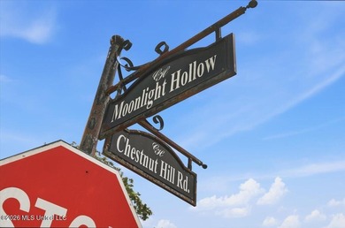 This is your chance to own a beautiful lot in Chestnut Hill in - photo 8