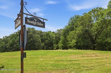 This is your chance to own a beautiful lot in Chestnut Hill in - photo 9
