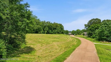 This is your chance to own a beautiful lot in Chestnut Hill in - photo 10