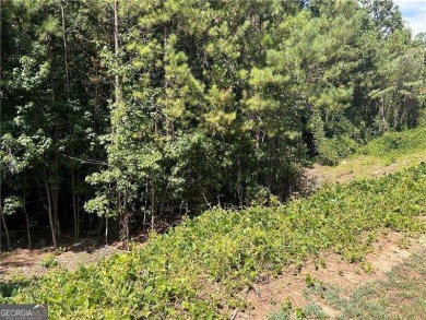 Lake Lot For Sale in Alpharetta, Georgia