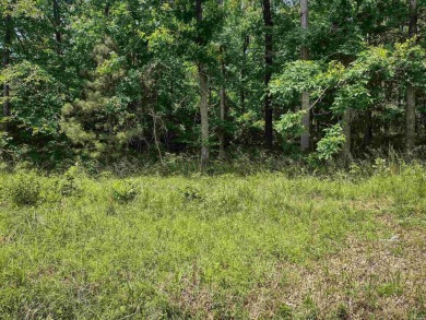 Lake Catherine Lot For Sale in Hot Springs Arkansas
