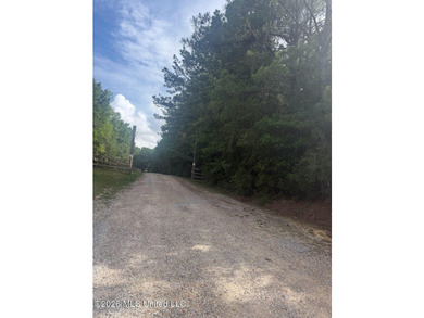 79.9 acres between Edwin Ladner Rd & Vidalia - photo 2