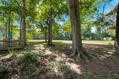 PRICED BELOW APPRAISAL!!! Beautiful, well-kept, 3br 2ba 1-story - photo 44