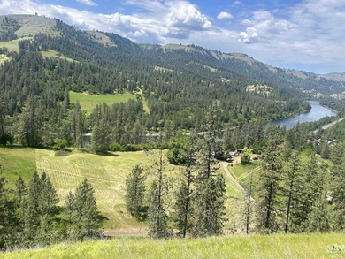 Clearwater River - Idaho County Acreage For Sale in Kooskia Idaho