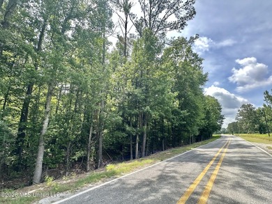+/- 95 acre timberland and hunting property in northwest Scott - photo 1