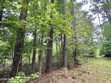 +/- 95 acre timberland and hunting property in northwest Scott - photo 2