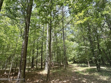 +/- 95 acre timberland and hunting property in northwest Scott - photo 6