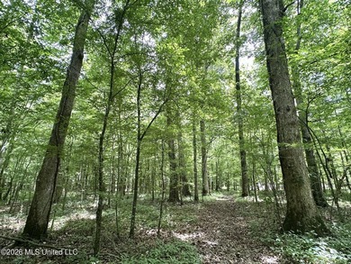 +/- 95 acre timberland and hunting property in northwest Scott - photo 7