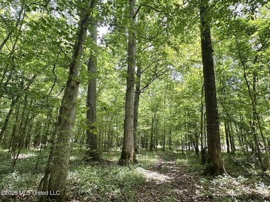 +/- 95 acre timberland and hunting property in northwest Scott - photo 9