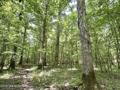 +/- 95 acre timberland and hunting property in northwest Scott - photo 10