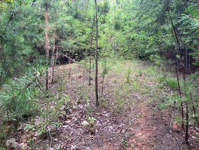 Discover unparalleled tranquility and peace on this .94 acres of - photo 7