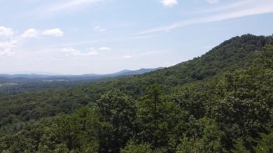 Discover unparalleled tranquility and peace on this .94 acres of - photo 8