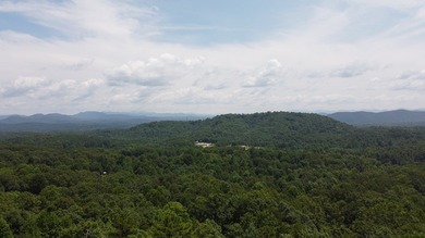 Discover unparalleled tranquility and peace on this .94 acres of - photo 9