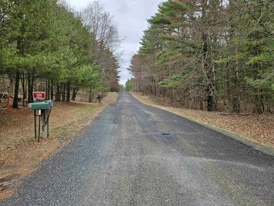 Nestled in the peaceful Fawn Lake Subdivision just minutes from - photo 41