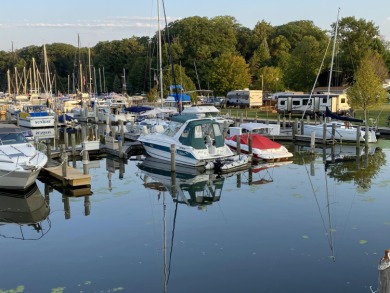 Black River Lot For Sale in South Haven Michigan