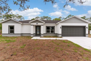 Brand-New Construction in the desirable Spring Lake community! - photo 2