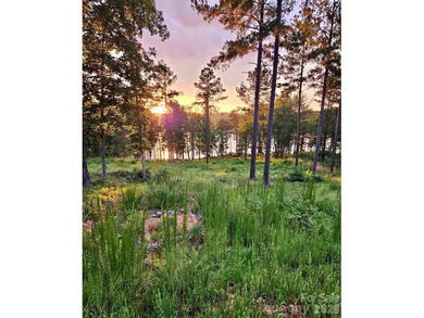 Discover the ultimate blend of luxury and nature at this - photo 13