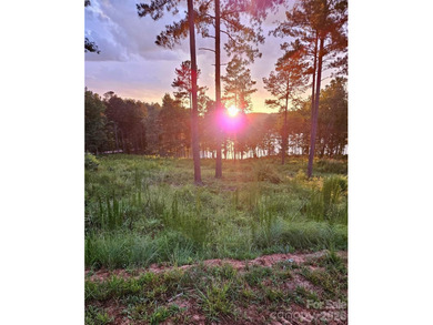Discover the ultimate blend of luxury and nature at this - photo 14