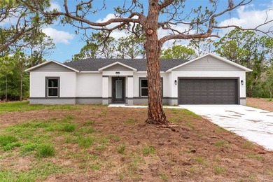 Brand-New Construction in the desirable Spring Lake community! - photo 4