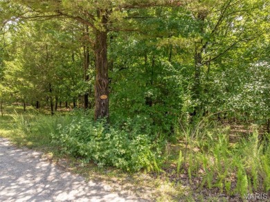 Lake Lot For Sale in Innsbrook, Missouri