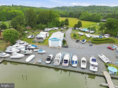 A rare opportunity to acquire one of Northern Virginia's premier - photo 4
