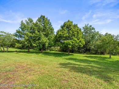 Located in Glen Lakes, this 2000 built Addison Custom home is - photo 46